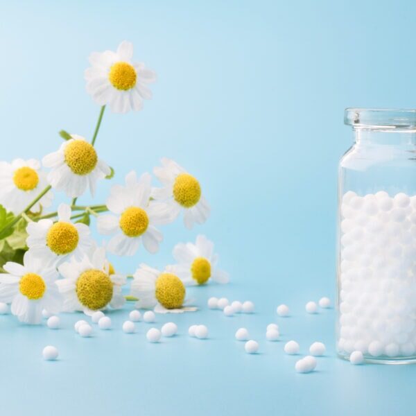 Homeopathic globules and glass bottle on blue background next to medicinal chamomile flowers. Alternative Homeopathy medicine herbs, healtcare and pills concept. Flatlay. Top view. copyspace for text.